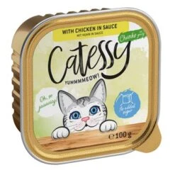 Catessy En Tarrinas 32 X 100 G - Pack Mixto -Paws Tienda catessy chunks chickeninsouce 100g 1000x1000 9
