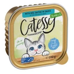 Catessy En Tarrinas 32 X 100 G - Pack Mixto -Paws Tienda catessy chunks saitheinsauce 100g 1000x1000 8