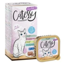 Catessy En Tarrinas 32 X 100 G - Pack Mixto -Paws Tienda catessy finepate boxtray g p l m 8x100g 1000x1000 7