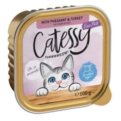 Catessy En Tarrinas 32 X 100 G - Pack Mixto -Paws Tienda catessy finepate pheasant turkey 100g 1000x1000 0
