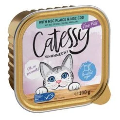 Catessy En Tarrinas 32 X 100 G - Pack Mixto -Paws Tienda catessy finepate plaicecod 100g 1000x1000 2