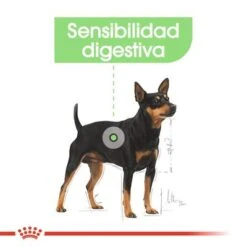 Royal Canin CCN Digestive Care Mousse Para Perros -Paws Tienda ccn 3 3