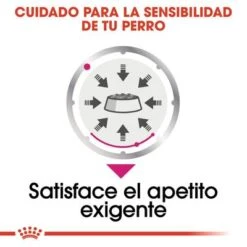 Royal Canin CCN Exigent Care Mousse Para Perros -Paws Tienda ccn 6 0
