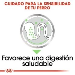 Royal Canin CCN Digestive Care Mousse Para Perros -Paws Tienda ccn 9 1