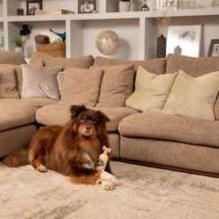 Pet Head Sensitive Soul Champú, Acondicionador Y Spray Para Perros -Paws Tienda companyofanimals pethead sensitivesoul set3teilig hs 08 9