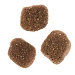 Wolf Of Wilderness The Taste Of The Mediterranean -Paws Tienda dsc2639 2