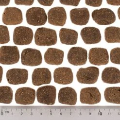 Wolf Of Wilderness The Taste Of The Mediterranean -Paws Tienda dsc2642 0