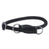 Collar Hunter Freestyle Para Perros -Paws Tienda dsc8667 1
