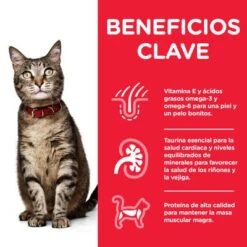 Hill's Science Plan Hill's Adult Para Gatos -Paws Tienda es cat adult chicken pouch transition benefits 5