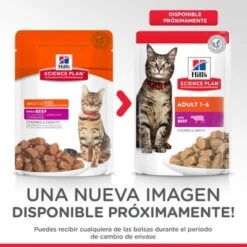 Hill's Science Plan Hill's Adult Para Gatos -Paws Tienda es cat pouch adult beef coming soon copy 8