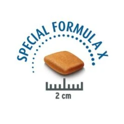 Concept For Life Bulldog Francés Adult -Paws Tienda franz siche bulldogge krokette 2