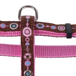 Set Hunter: Arnés + Correa Para Cachorros Y Gatos -Paws Tienda geschirre 115 8