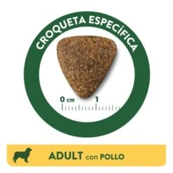 Affinity Libra Adult Con Pollo Pienso Para Perros 10 Affinity Libra Adult Con Pollo Pienso Para Perros -Paws Tienda kibble libra dog adult chicken es 5