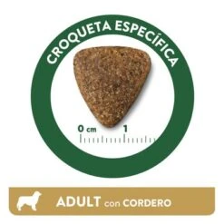 Affinity Libra Adult Con Cordero Pienso Para Perros -Paws Tienda kibble libra dog adult lamb es 0