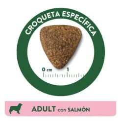 Affinity Libra Adult Con Salmón Pienso Para Perros 11 Affinity Libra Adult Con Salmón Pienso Para Perros -Paws Tienda kibble libra dog adult salmon es 3