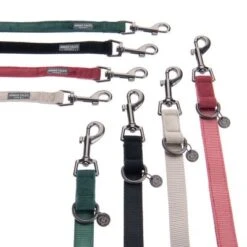 Correa Nomad Tales Blush Beige Topo Para Perros -Paws Tienda nomad tales bloom halsbaender fg 1433 3