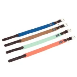 Collar Nomad Tales Bloom Menta Para Perros -Paws Tienda nomad tales bloom halsbaender fg 1487 7