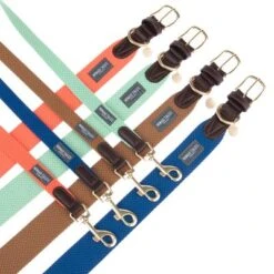 Collar Nomad Tales Bloom Caramelo Para Perros -Paws Tienda nomad tales bloom halsbaender fg 1502 8