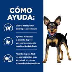 Hill's Metabolic Mini Prescription Diet Pienso Para Perros -Paws Tienda pd metabolic dog mini bk28229m bk30786 how helps es 3