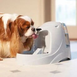 Fuente De Agua Para Mascotas Drinkwell Platinum De PetSafe -Paws Tienda pla radiosystems drinkwellplatinumtrinkbrunnen 5liter dog 1