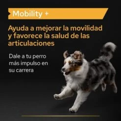 PRO PLAN Dog Adult Mobility Supplement En Polvo -Paws Tienda pu supplementals atf mobility a 220513 es es 6