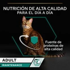 PURINA PRO PLAN Cat Adult Maintenance 24 X 85 G En Latas -Paws Tienda puprpnwcadvmanocach23fnb1cles 4