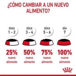 Royal Canin Digest Care En Salsa -Paws Tienda rc fcn digestivecarepouchgravy 12 es es 9