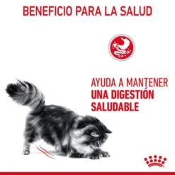 Royal Canin Digest Care En Salsa -Paws Tienda rc fcn digestivecarepouchgravy 6 es es 2
