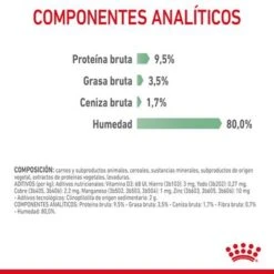 Royal Canin Digest Care En Salsa -Paws Tienda rc fcn digestivecarepouchgravy 9 es es 1