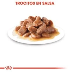 Royal Canin Sterilised En Salsa -Paws Tienda rc fhn 2 5