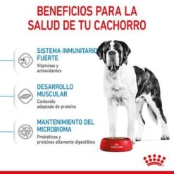 Royal Canin Giant Junior -Paws Tienda rc spt dry giantjunior cv 3 es es 1