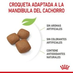 Royal Canin Giant Junior -Paws Tienda rc spt dry giantjunior cv 4 es es 2
