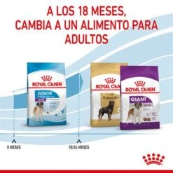 Royal Canin Giant Junior -Paws Tienda rc spt dry giantjunior cv 5 es es 0