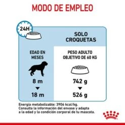 Royal Canin Giant Junior -Paws Tienda rc spt dry giantjunior cv 7 es es 0