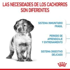 Royal Canin Medium Puppy -Paws Tienda rc spt dry mediumpuppy cv 2 es es 0