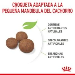 Royal Canin Medium Puppy -Paws Tienda rc spt dry mediumpuppy cv 4 es es 0
