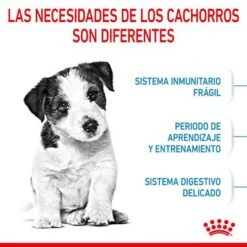 Royal Canin Mini Puppy / Junior -Paws Tienda rc spt dry minipuppy cv 2 es es 8