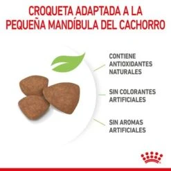 Royal Canin Mini Puppy / Junior -Paws Tienda rc spt dry minipuppy cv 4 es es 1