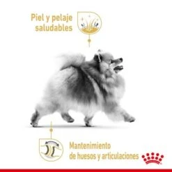 Royal Canin Breed Pomerania Adult -Paws Tienda rc spt dry pomad cv 1 es es 1