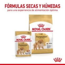 Royal Canin Breed Pomerania Adult -Paws Tienda rc spt dry pomad cv 3 es es 7