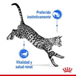 Royal Canin Indoor Sterilised 7+ En Salsa 12 Royal Canin Indoor Sterilised 7+ En Salsa -Paws Tienda rc spt wet ind7stergravy cv 1 es es 6