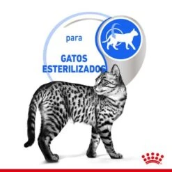 Royal Canin Indoor Sterilised 7+ En Salsa 13 Royal Canin Indoor Sterilised 7+ En Salsa -Paws Tienda rc spt wet ind7stergravy cv 2 es es 4