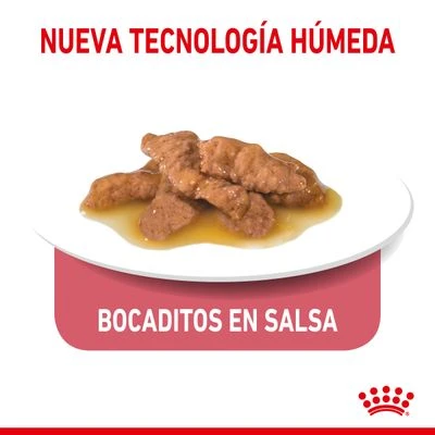 Royal Canin Indoor Sterilised 7+ En Salsa 5 Royal Canin Indoor Sterilised 7+ En Salsa - Imagen 3