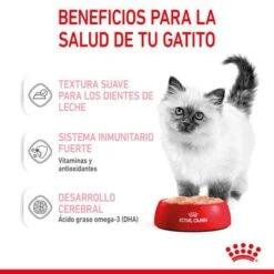 Royal Canin Kitten Paté -Paws Tienda rc spt wet kitten loaf cv 3 es es 3