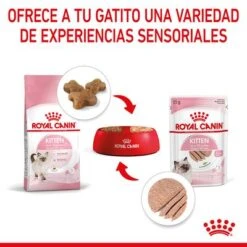 Royal Canin Kitten Paté -Paws Tienda rc spt wet kitten loaf cv 4 es es 8