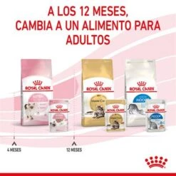 Royal Canin Kitten Paté -Paws Tienda rc spt wet kitten loaf cv 8 es es 4
