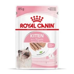 Royal Canin Kitten Paté -Paws Tienda rc spt wet kitten loaf mv 3 es es 9