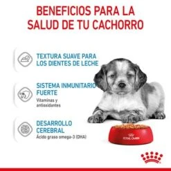 Royal Canin Medium Puppy En Salsa Para Perros -Paws Tienda rc spt wet mediumpuppy cv 3 es es 6