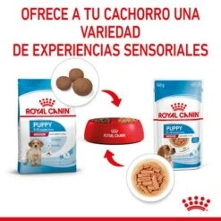 Royal Canin Medium Puppy En Salsa Para Perros -Paws Tienda rc spt wet mediumpuppy cv 4 es es 1