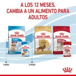 Royal Canin Medium Puppy En Salsa Para Perros -Paws Tienda rc spt wet mediumpuppy cv 8 es es 9